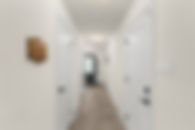 15 Foley crescent, Collingwood_Interiors-1.jpg