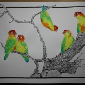 Aquarell und Tintenzeichnung von fünf Unzertrennlichen auf einem Ast, bunte Papageienkunst von my.own.artology