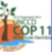 COP 11_edited