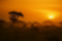 8855E418-0238-4847-8CFF-64CF139F4480.png