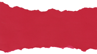 FONDO WEB.png