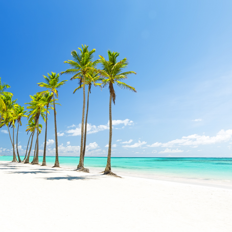 Explore Punta Cana