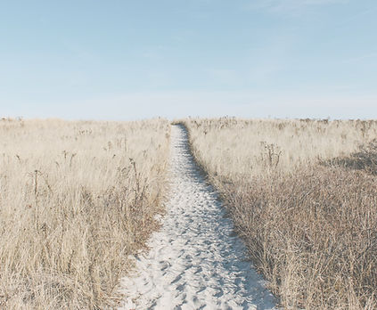 Sand%20path%20through%20grass%20field_ed