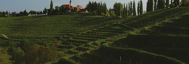 Puklavec Family Wines