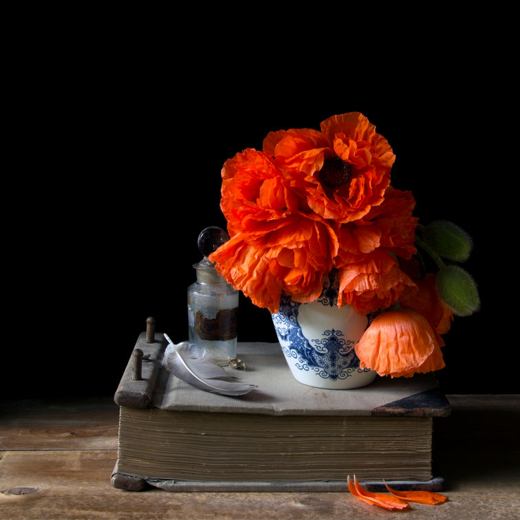 Vanitas with Poppies_9732.jpg