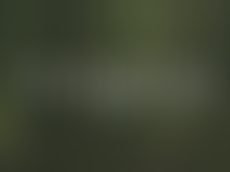 A New Era for Evergreen: A Look Behind the Rebrand