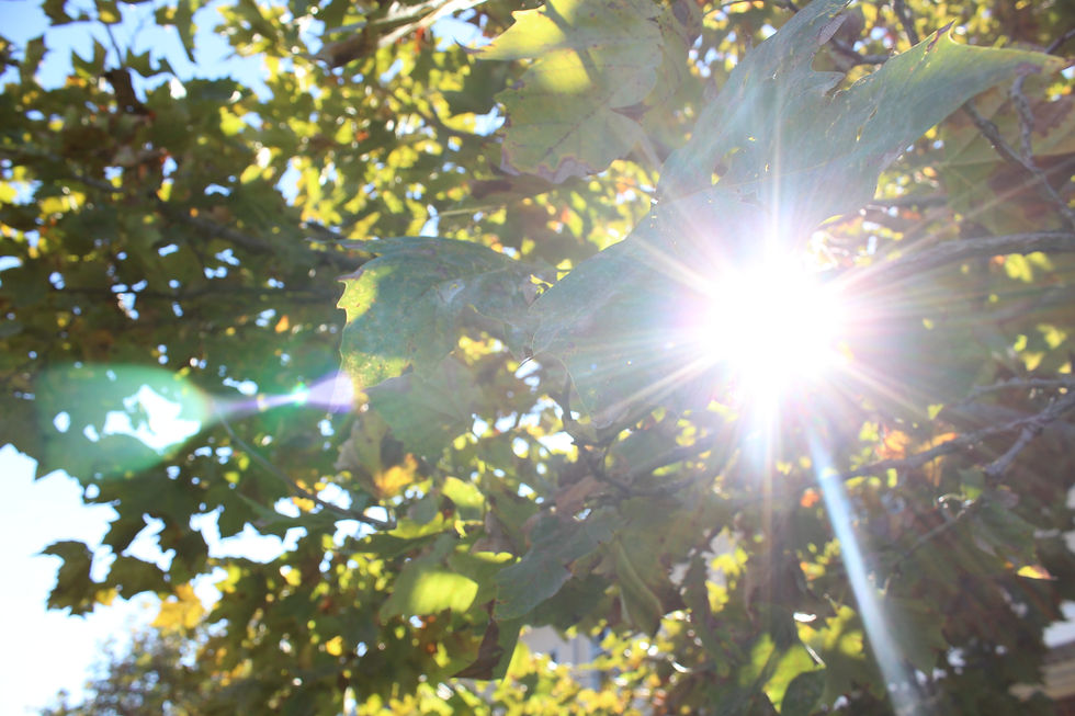 Light