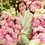 Thumbnail: Shealyn 3/4 Sleeve Stretch Cotton Maxi