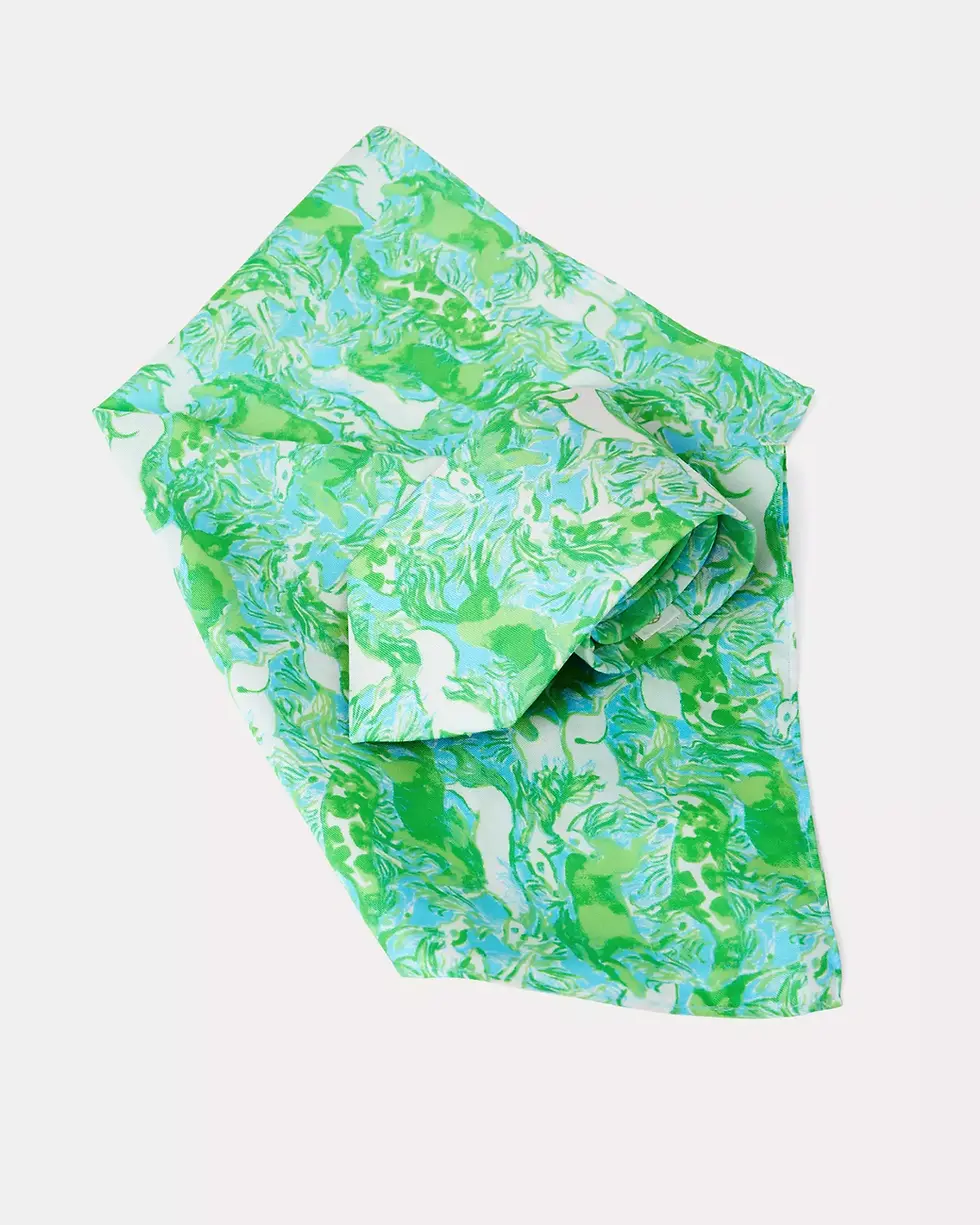 Thumbnail: Men's Stuff Tie and Pocket Square Set