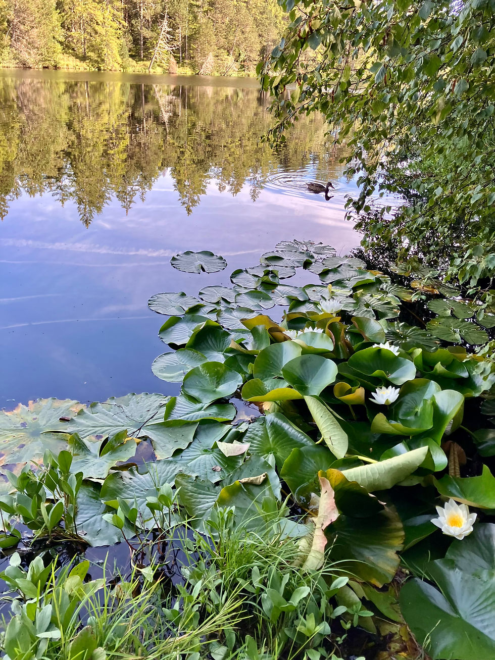 Etang2024