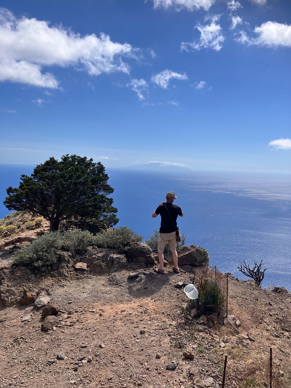 Wanderung zum Kraftbaum auf La Merica