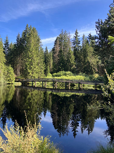 etang de grueres
