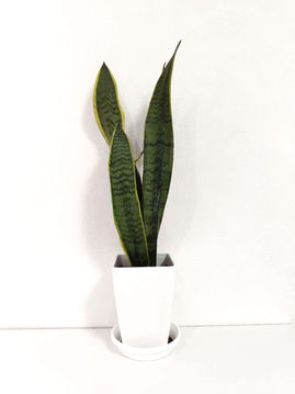 这个也好好吃！（测试）