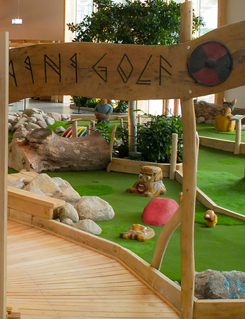 DJI_0473 (PSD TIL HJEMMESIDE).jpg