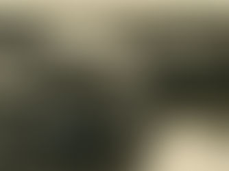 IL SOLDATO AL FRONTE (1990)