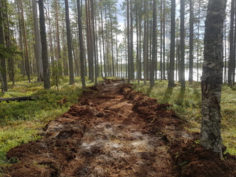 ЗАЩИЩАЕМ ЛЕС ОТ ПОЖАРОВ
