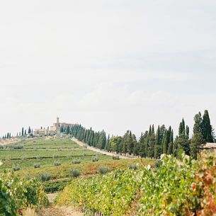 Tuscan vineyard landscape with villa and cypress-lined road
