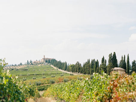 Tuscan vineyard landscape with villa and cypress-lined road
