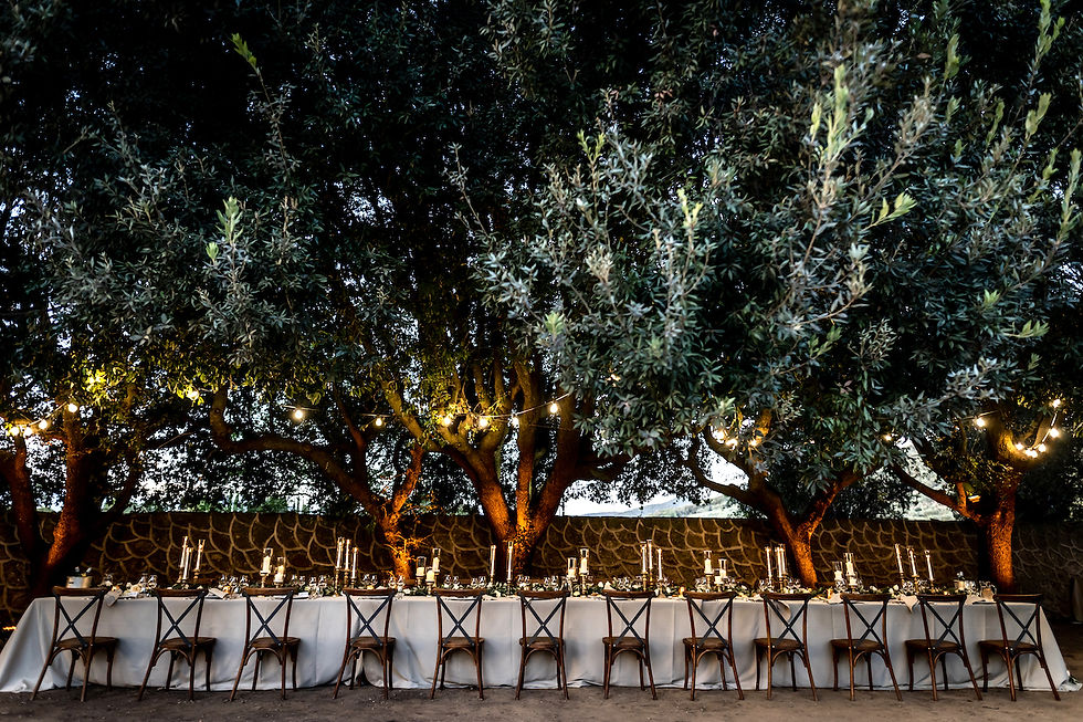 Outdoor wedding dinner at Villa Pescaia in Tuscany under olive trees with candlelight
