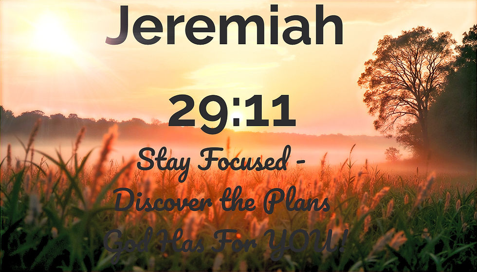 Wide angle view of a serene landscape with a sunrise