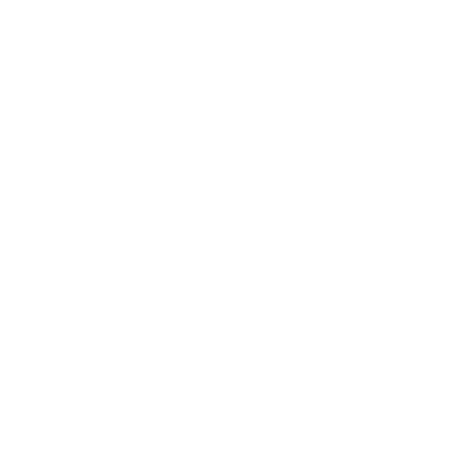 pensiunea carina transp Logo .png