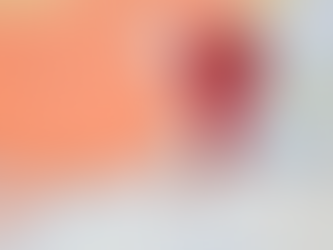 關稅談判,美學者:台灣有說到做到優勢,宜聚焦投資