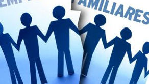 La Gestión de la Empresa Familiar