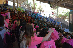 Fall Rally