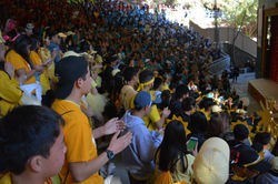 Fall Rally