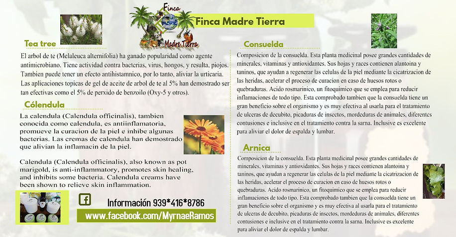 propiedades cremas.jpg