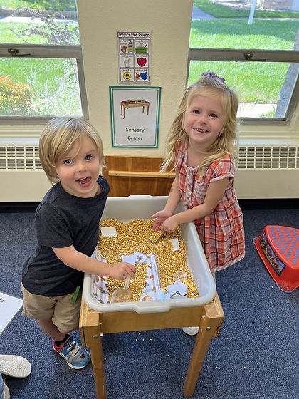 Sensory table.jpg