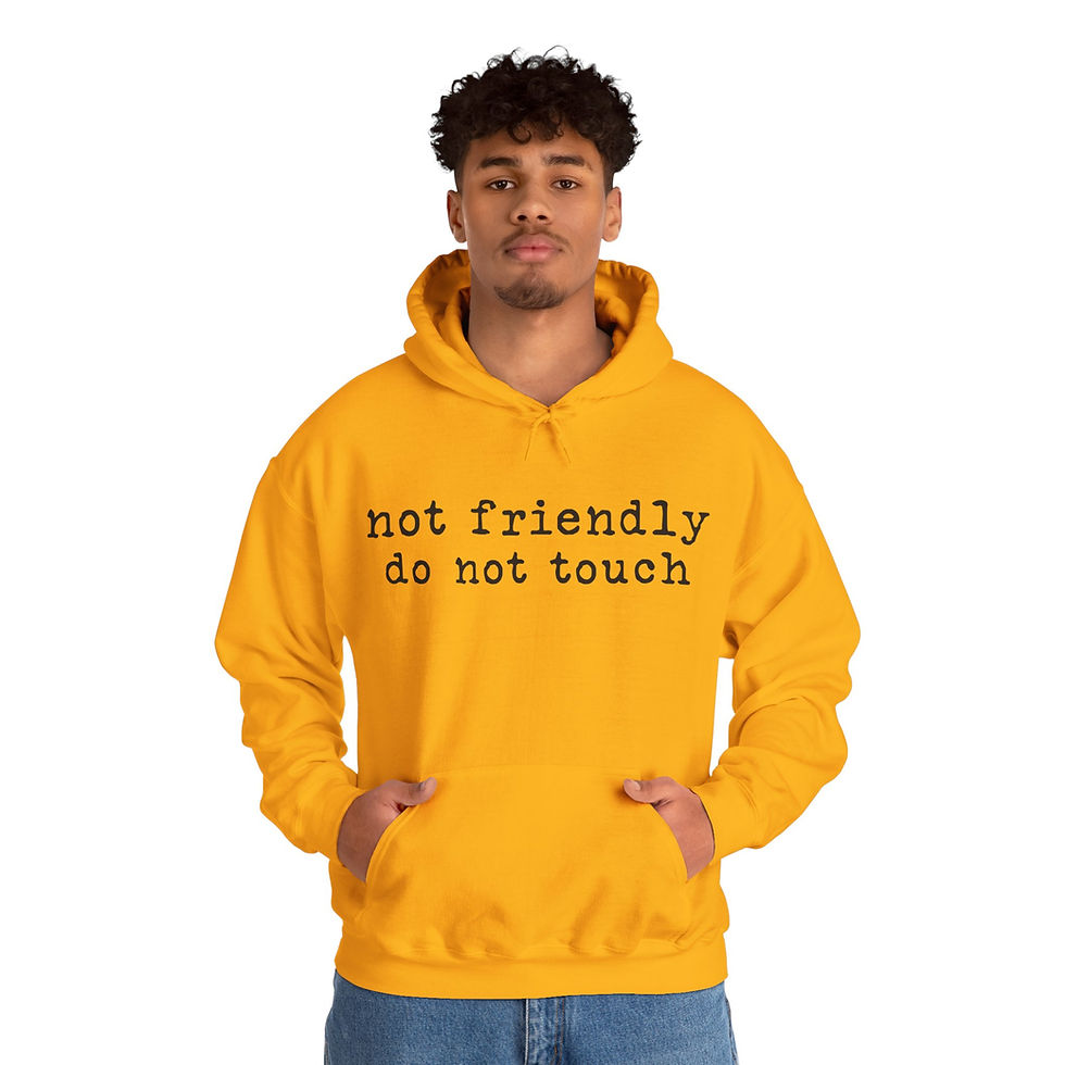 Thumbnail: Hoodie — "not friendly do not touch"