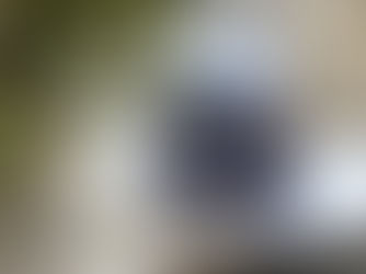 Photographies : APPEL À FAÇADES