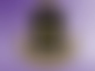 Forty new members inducted into LSUS chapter of Alpha Lambda Delta