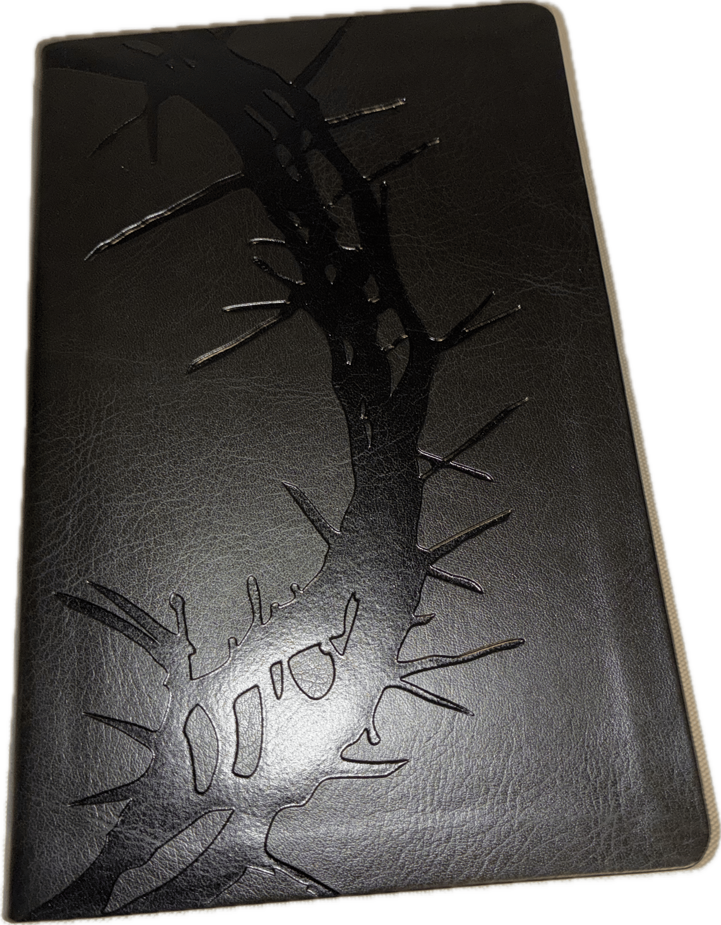 Mens Study Bible (KJV)