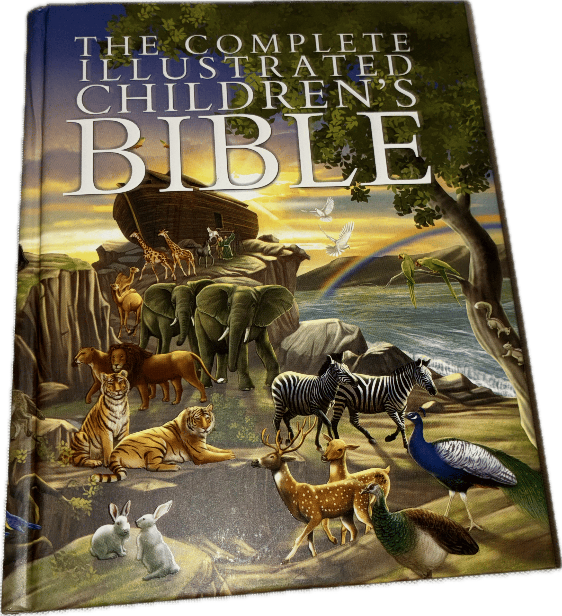 Illustrated Children's Bible