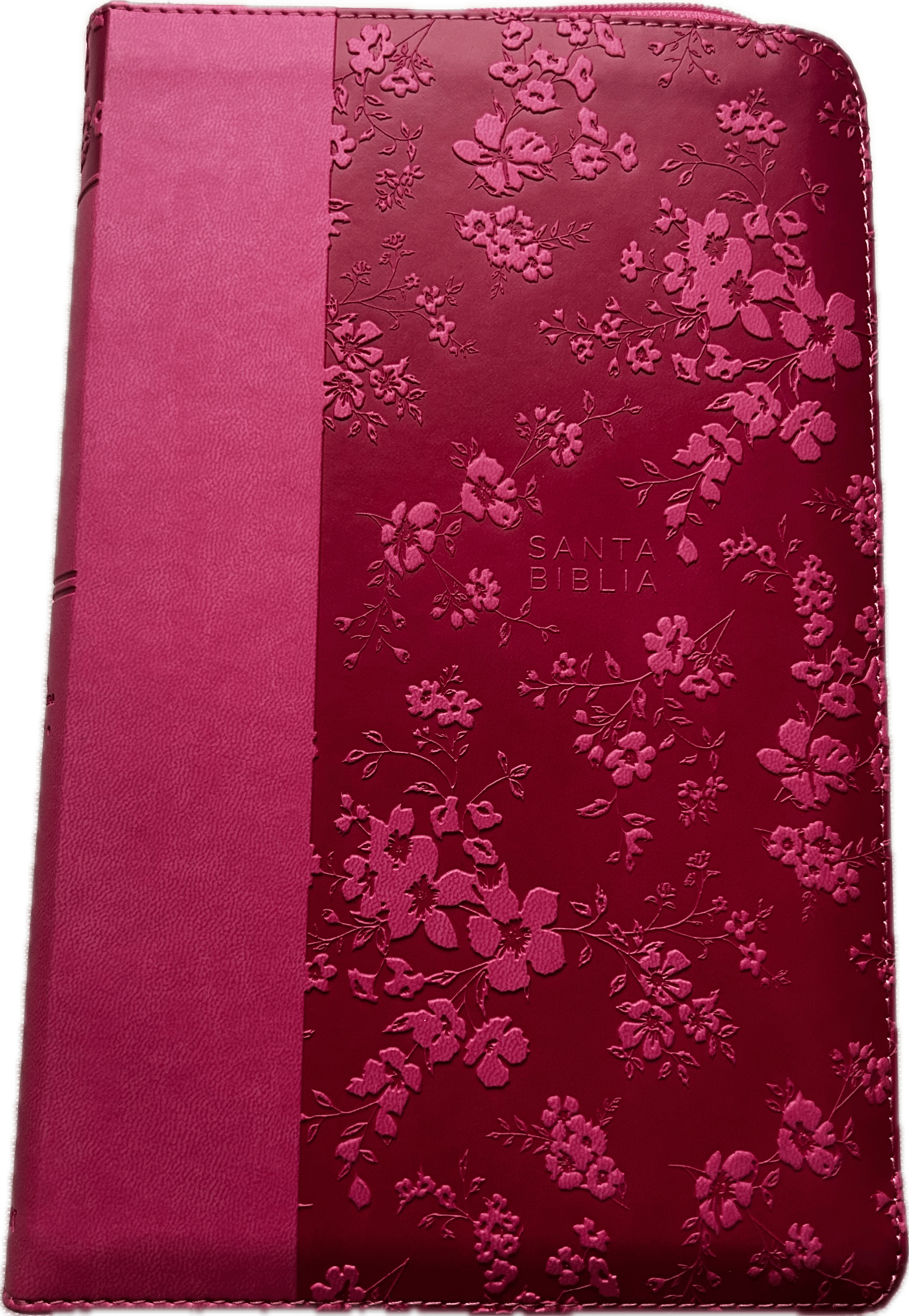 Santa Biblia ~ Edicion Floral (RVR 1960)