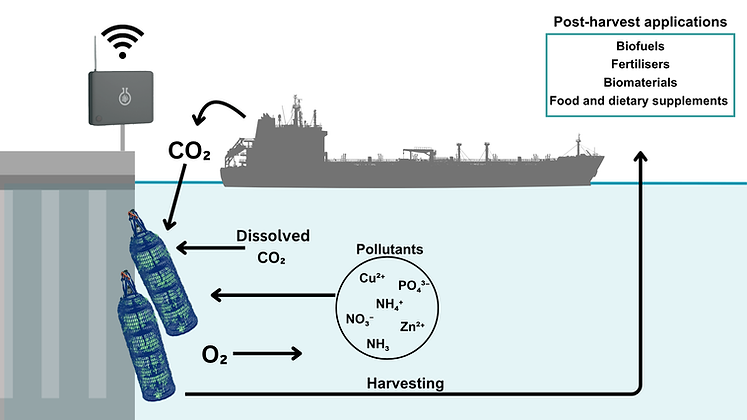CO2 diagram -3.png