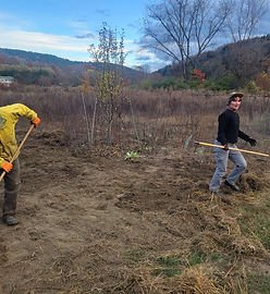 Clifford Park Food Forest
