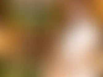 나트랑 붐붐마사지 – 클라우드나인 솔직 가이드