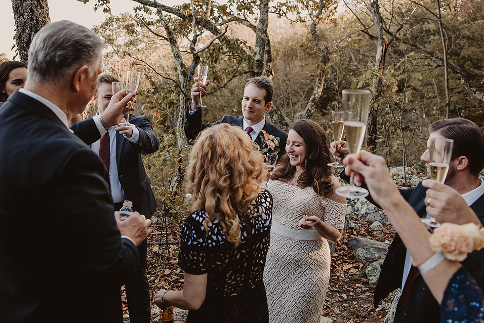 Maryland micro wedding 