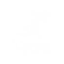 lizard