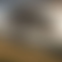 Snap Bold Shots with Easy Asymmetrical Balance Tips