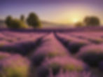 Imagine a field of blooming lavender under the golden glow of the early morning sun. The vibrant purple flowers contrast beautifully with the soft yellow light, creating a visually striking and harmonious image.