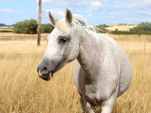 Magic, Cloud's mum