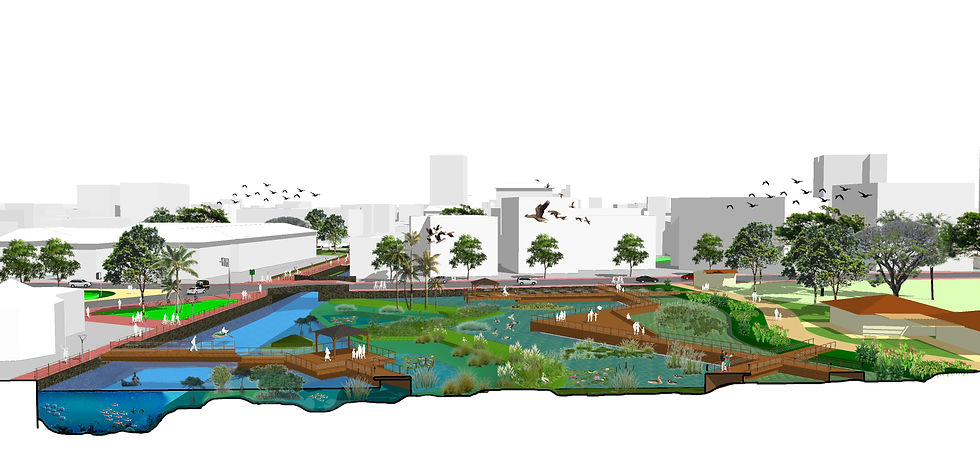 04 wetland park section.jpg
