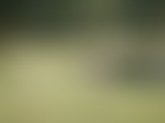 6 ADVANTAGES OF VIRTUAL GOLF EVENTS