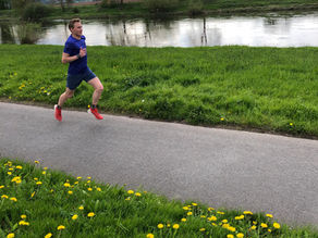 Hunde und Läufer 🐶 vs. 🏃