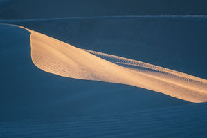 Light catches the dune, surrounded by shadow.