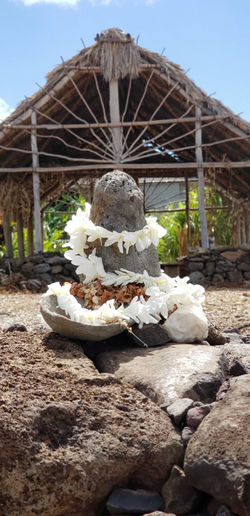 hale 24 w ginger bowl